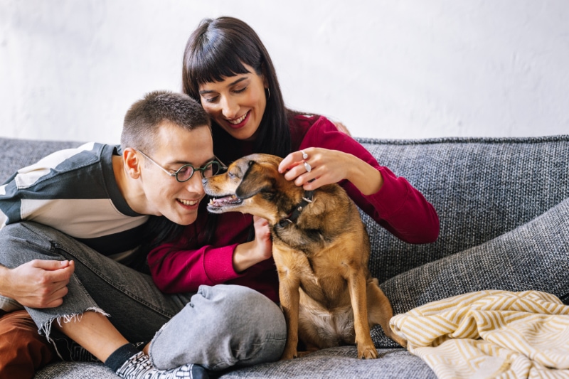 What Are the Different Types of Furnaces? - A lovely couple sitting on the sofa and playing with their dog. Everybody is smiling.