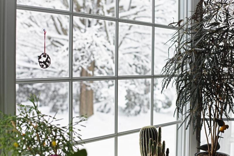 How Can I Lower My Heating Bill This Winter? - A winter blizzard rages outside the back yard bay window where this small, serene potted plant garden grows and blooms oblivious to the season. A similar is available in vertical/portrait orientation.